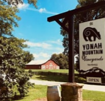 Yonah Mountain Vineyards